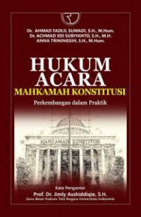 Hukum Acara Mahkamah Konstitusi: Perkembangan dalam Praktik